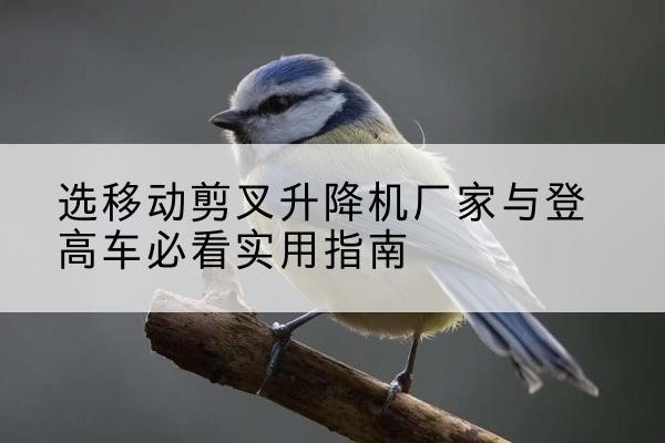 高密电动升降机厂家-选移动剪叉升降机厂家与登高车必看实用指南