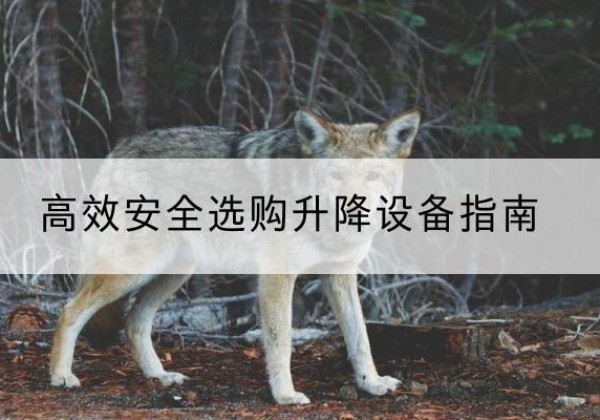 高密升降货梯厂家推荐-*安全选购升降设备指南