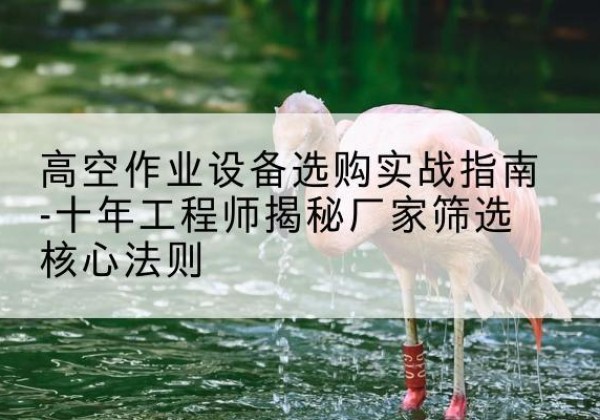 高密剪叉式升降机厂家-高空作业设备选购实战指南-十年工程师揭秘厂家筛选核心法则